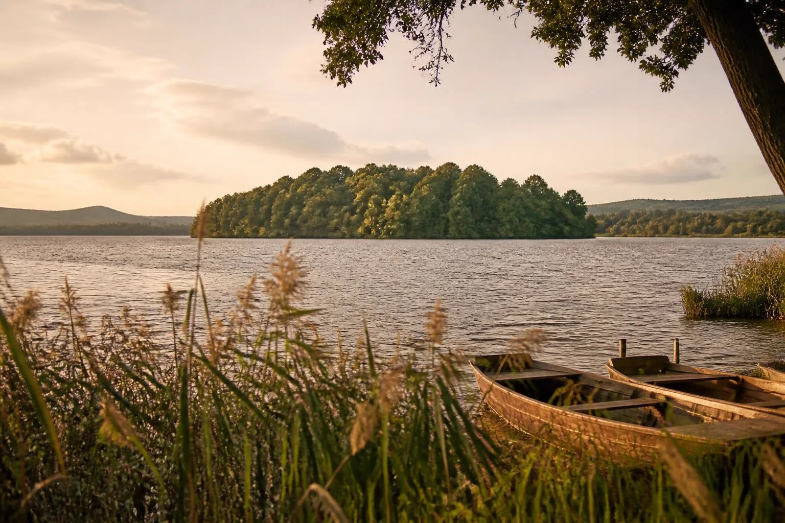 Großer Binnensee mit bewaldeter Insel, im Schilf am Ufer zwei Holzboote
