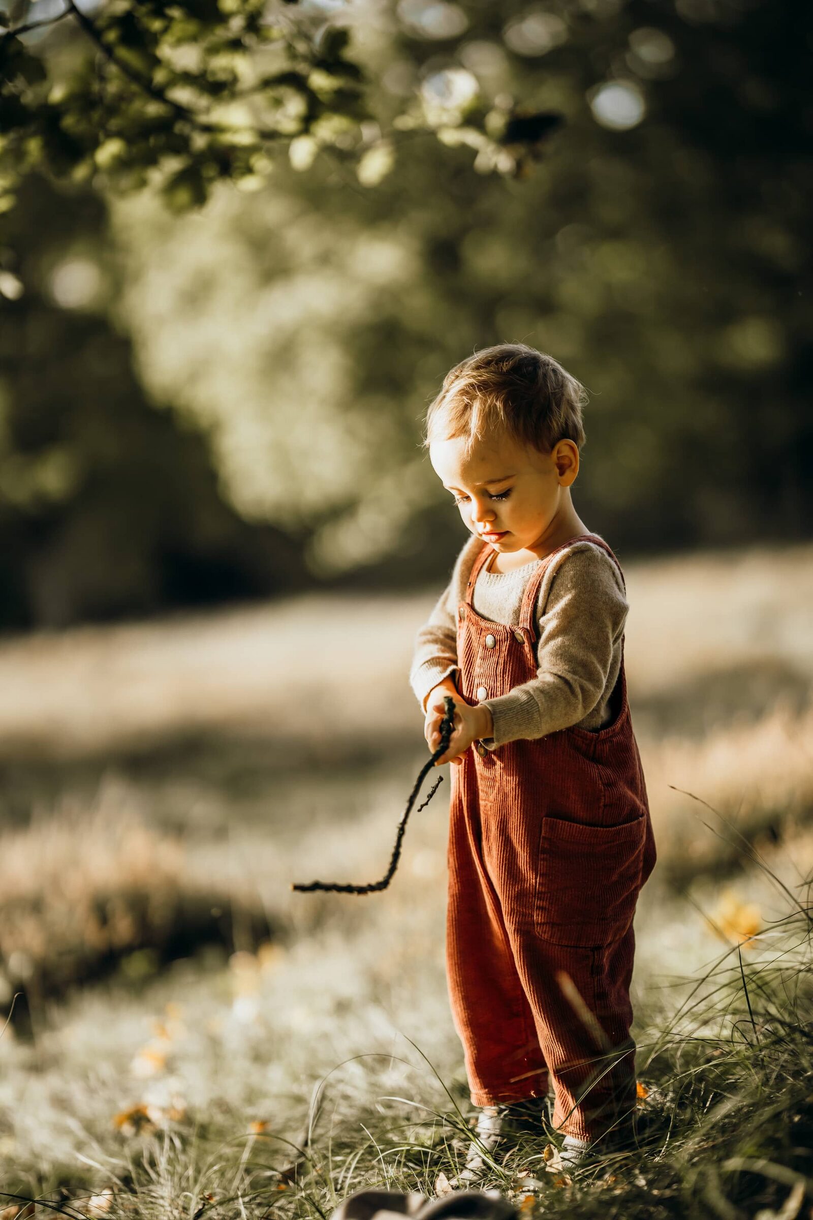 Kindergartenfotografie: Kleinkind in Latzhose betrachtet einen Stock auf einer sonnigen Wiese